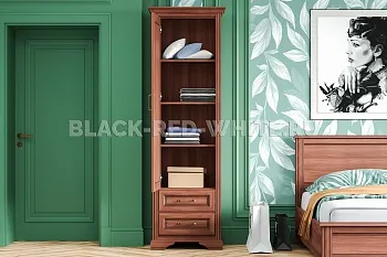 Шкаф Стилиус REG1D2S (Орех донской) фото 4